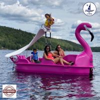 hydropedal-great-flamingo-1